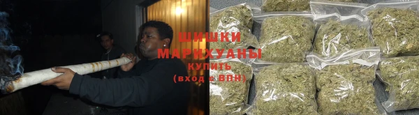 тгк Белокуриха