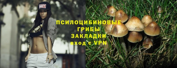 тгк Белокуриха