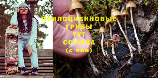 ешки Беломорск